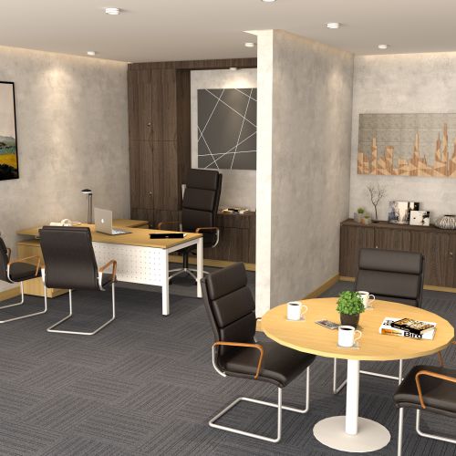 Comfortable executive dan meeting 1